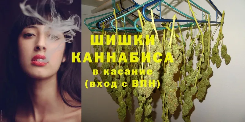 Конопля SATIVA & INDICA  Павловский Посад 